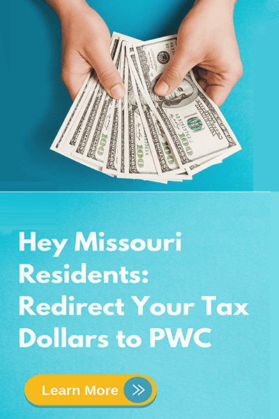 Missouri tax credit